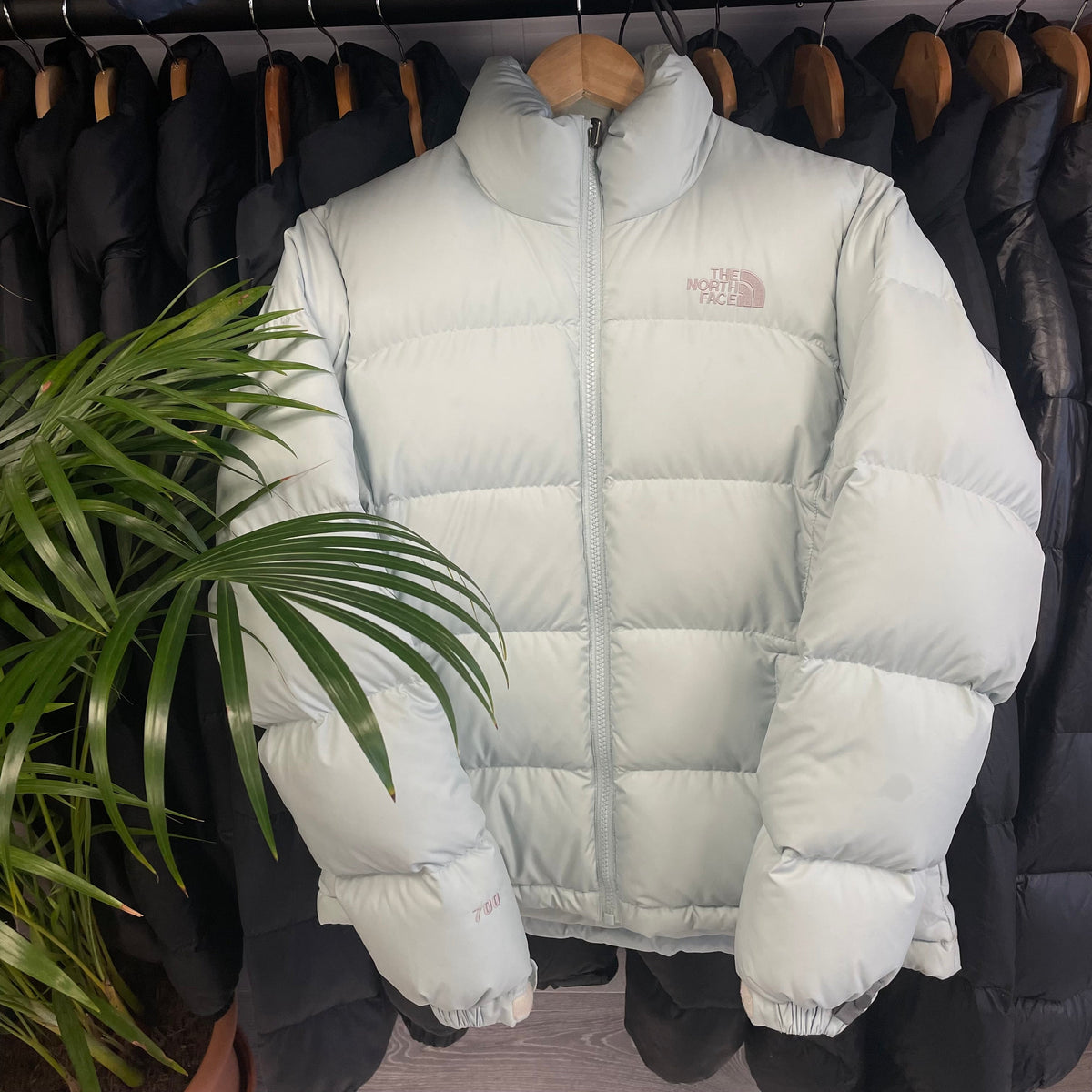 The North Face Womens Pale Mint / White Puffer Jacket